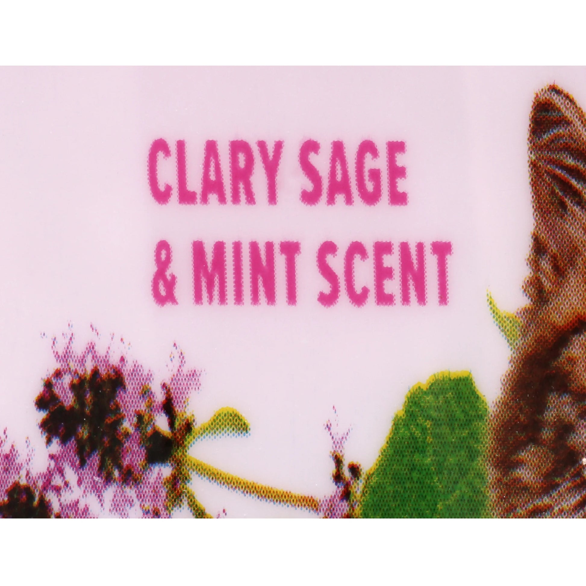 (2 Pack)  Deodorizing Cat Litter Crystals for Litter Boxes, Clary Sage & Mint Scent 15 Oz.